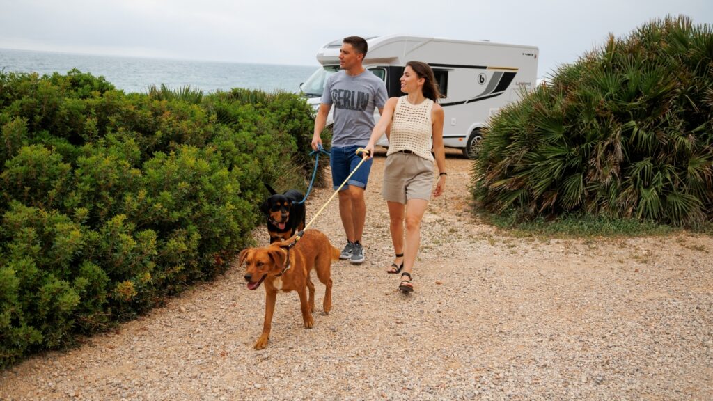 por que elegir una autocaravana benimar para viajar con tu mascota